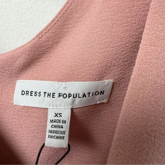 NWT Dress The Population Sandra Plunge Crepe Trumpet Gown‎ Blush XS - Picture 4 of 6